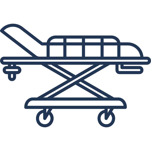 Preclinical Validation Icon