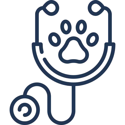 Animal Models Icon